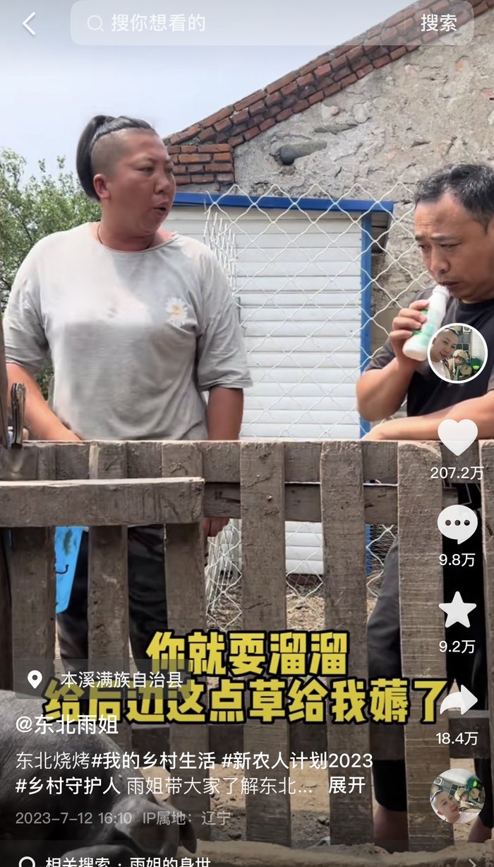 “东北雨姐”视频截图