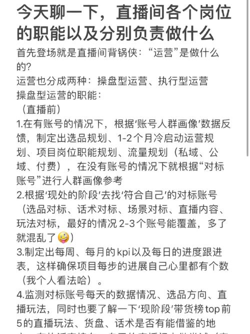 直播运营工作规划和总结_直播运营规划总结工作报告_直播运营规划总结工作怎么写