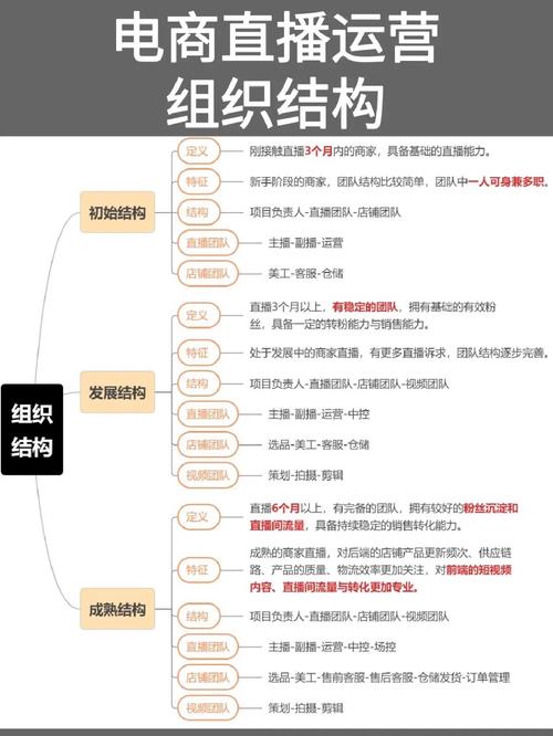 直播电商运营流程有哪些_直播电商的运营_电商直播运营需要做什么