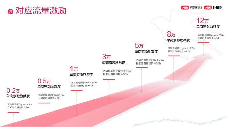 年终直播运营总结范文_直播运营年度总结_直播运营年终总结