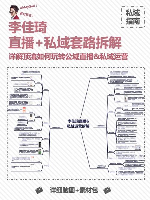 直播运营理解和认识_直播运营的理解_直播运营理解怎么写